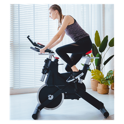 Cпинбайк Sole SB900 2019