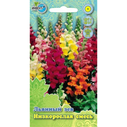 Семена Львиный зев Низкорослая смесь Ивент +