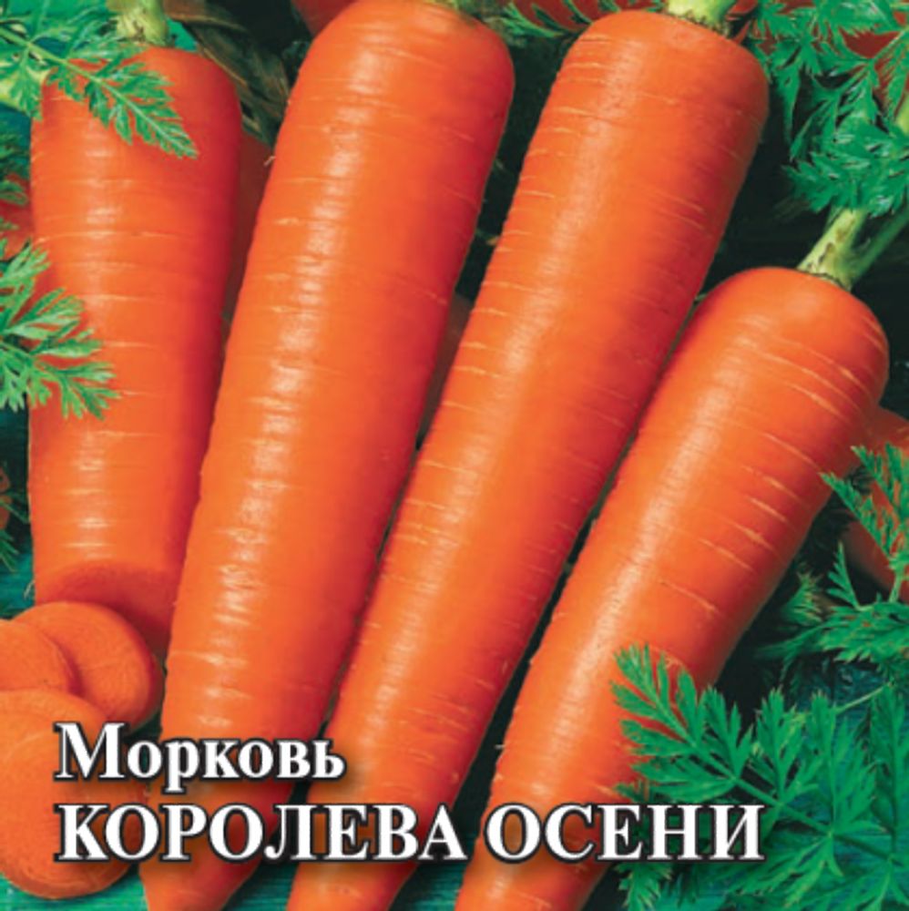 Морковь Королева осени 25 гр\Гавриш