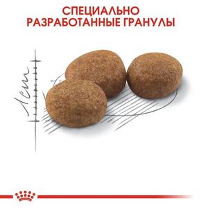 Уценка! Повр.упак/ Корм для стерилизованных котов и кошек, Royal Canin Sterilised 37, в возрасте от 1 года до 7 лет