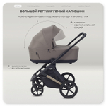 Детская коляска Rant Garda 3 в 1 с автокреслом Miro Black Mocca