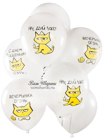 Шары на ДР "Сердитый кот"
