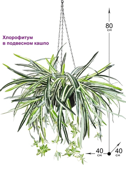 Искусственное растение Хлорофитум в подвесном темном кашпо