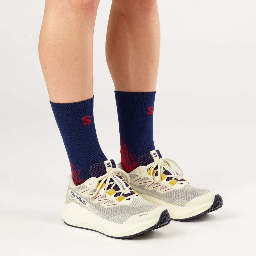 Кроссовки для бега Salomon AERO BLAZE 3 GRVL GORE-TEX Vanilla Ice / Astral Aura / Lemon