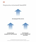 Хемохим Атоми (HemoHIM Atomy) — источник силы и жизненной энергии организма 1200мл — 60 пакетиков по 20мл