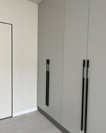 Шкаф «Практик» 1,6×2,5×0,6 — ЛДСП Egger, фурнитура Blum, доставка и монтаж по всей России