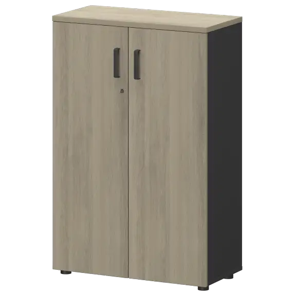 Шкаф СМШ-38Д Тип2  792x380x1214 Смарт