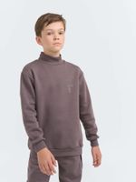 Свитшот "Темный шоколад" утепленный 7+