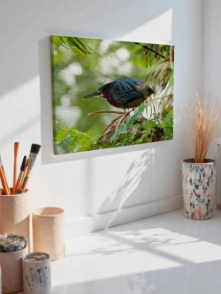 Картина на стену 40 X 50 Птица кваква