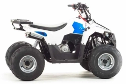 Квадроцикл Motoland 110 EAGLE (2020 г.)