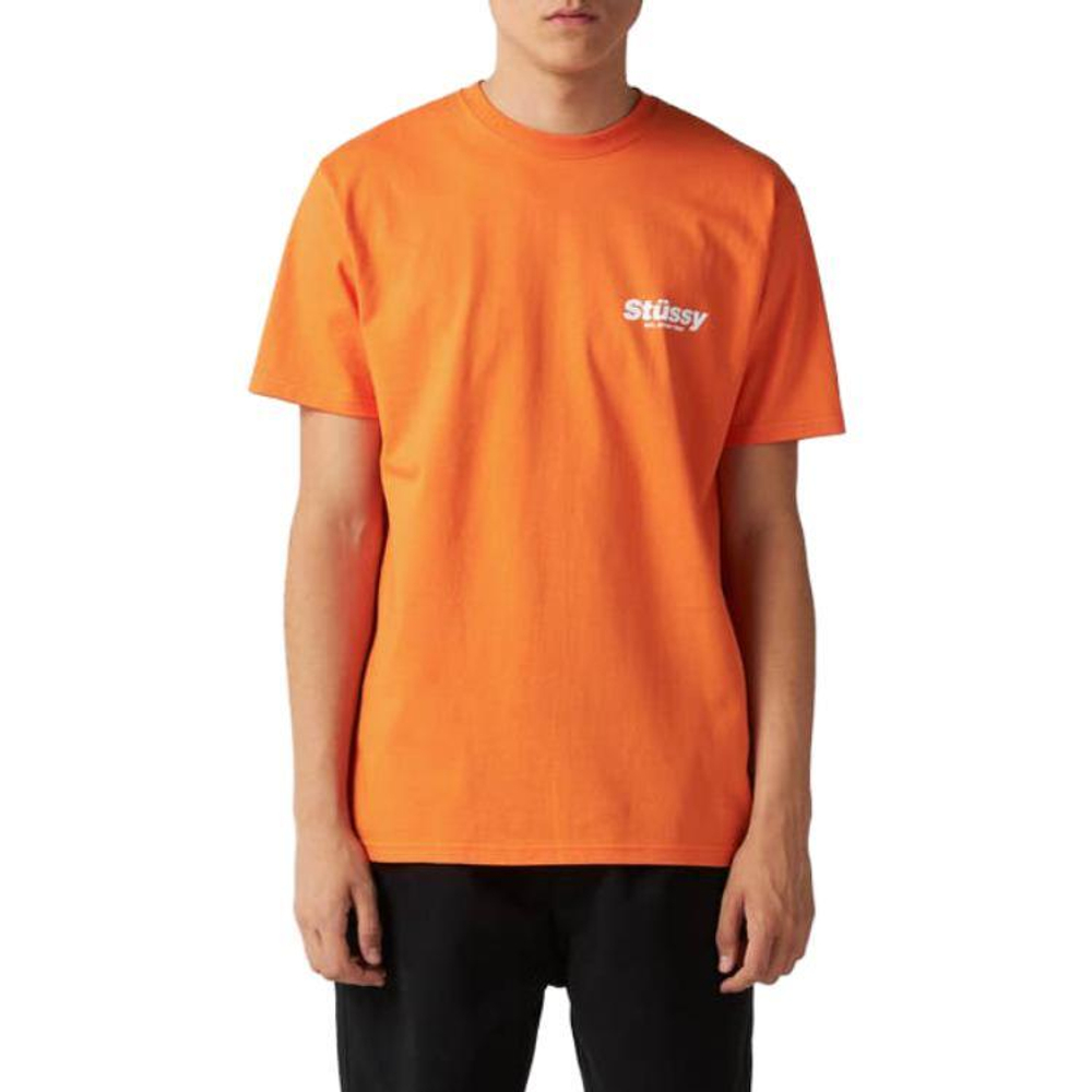 Футболки Stussy SS23 T, 1904873