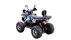 Квадроцикл BISON 125 Hunter LD