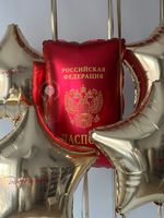 Воздушные шары Паспорт №8816