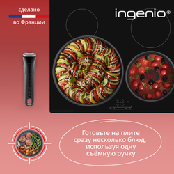 Набор посуды со съемной ручкой Tefal Ingenio Natural Force 5 предметов 16/20/22/28 см L3969053