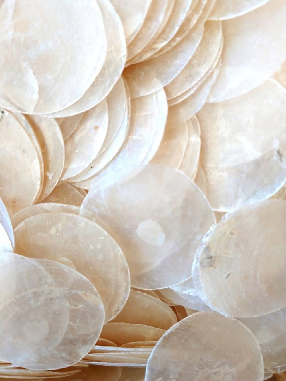 Люстра из ракушек в балтийском стиле