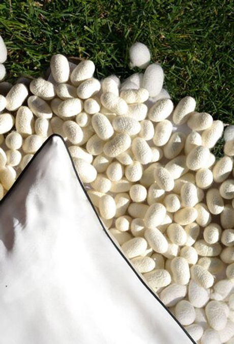 Наволочка 50х80 Silkow Venezia белая с синим кантом