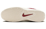 Кроссовки Nike Sb Vertebrae