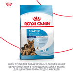 Royal Canin Maxi Starter Макси Стартер мазэ энд бэбидог Корм для щенков крупных пород до 2-х месяцев беременных и кормящих собак 4кг