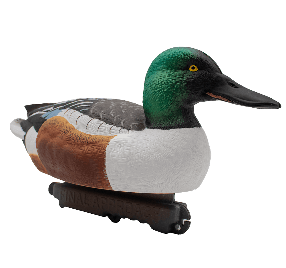 Широконос "FA-212530 LIVE NORTHERN SHOVELER SPOONBILL" FA 6 шт.