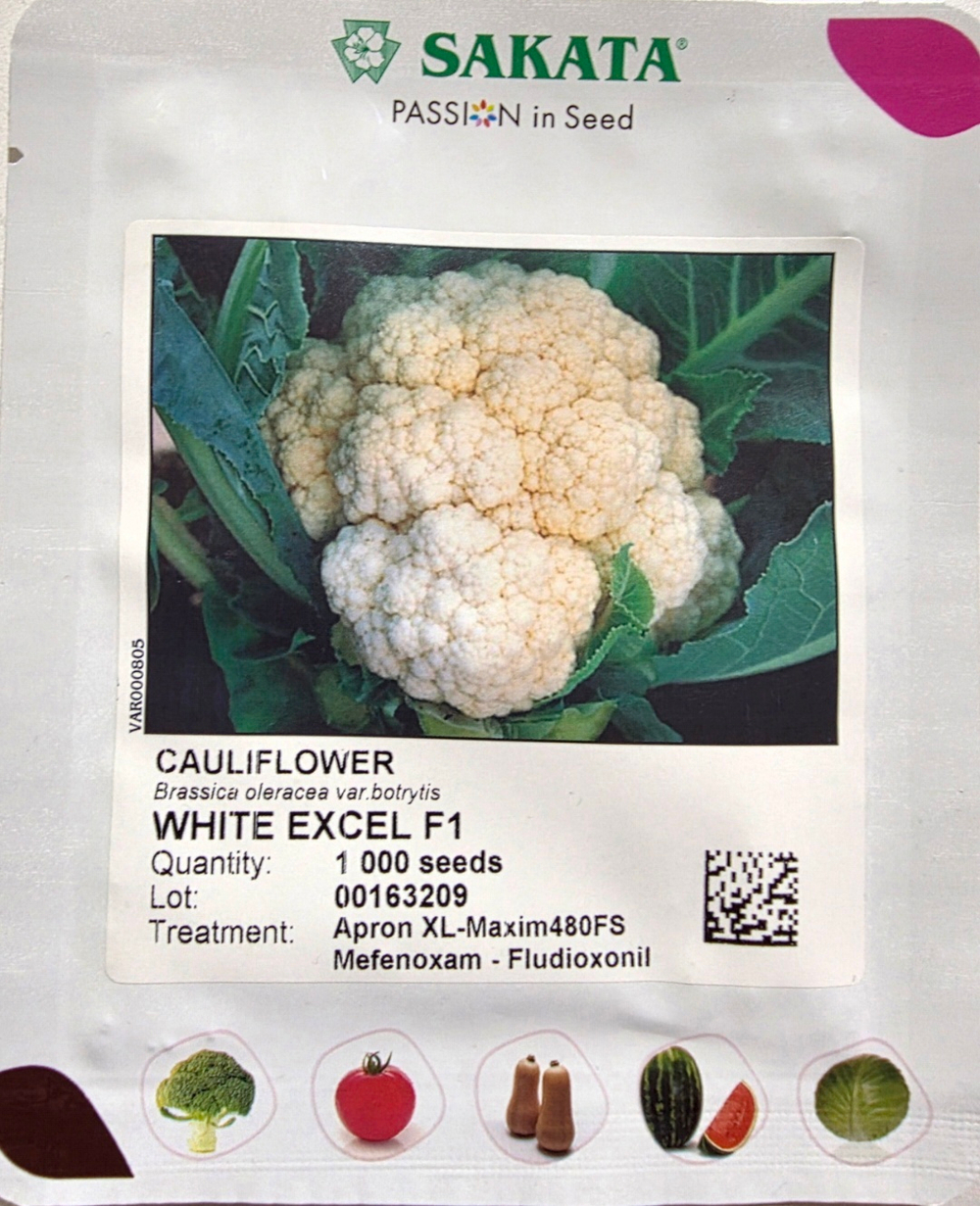 Капуста цветная Уайт Эксел F1 - White Excel F1 1000 семян