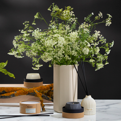 Диффузор ароматический 200мл Tkano Edge Cypress Jasmine & Patchouli бежевый