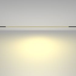 Трековый магнитный светодиодный светильник Maytoni   TR030-2-30W2.7K-B