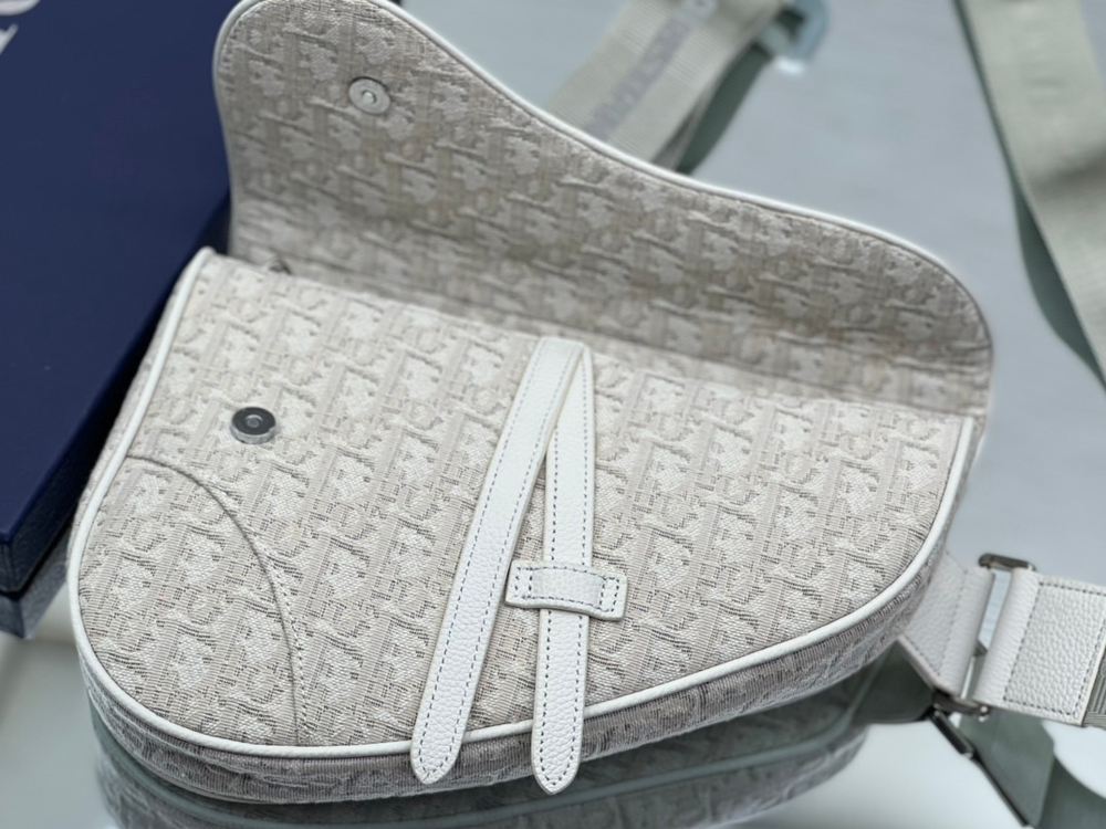 Christian Dior Saddle 26 cm