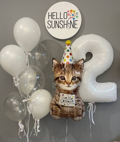 Набор шаров «Белоснежный котик»