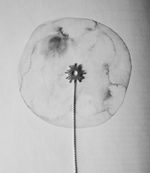 Колье-галстук My sun