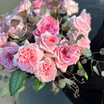 Формы трёх континентов — коллекция розовых роз исключительно прозрачных оттенков