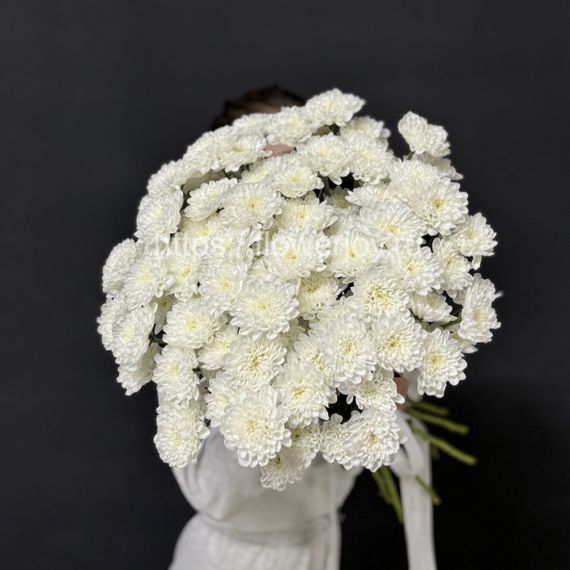 Белая хризантема букет под ленту