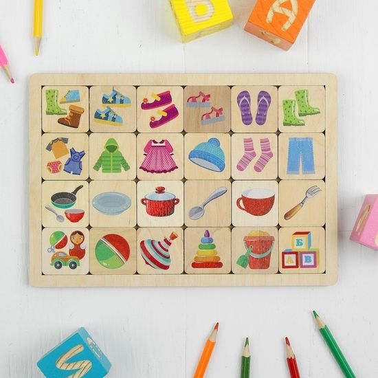 Игра развивающая деревянная "Обобщение"