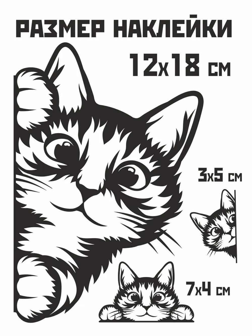 Наклейка на авто надпись с котом