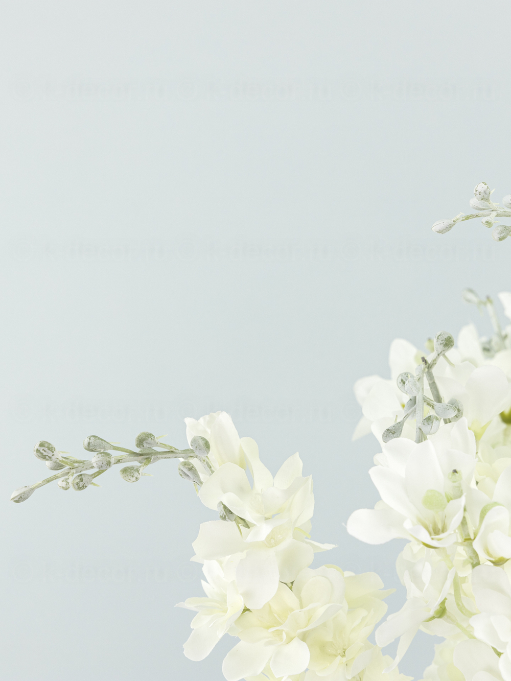 Дельфиниум Эстер уценка (цена за 18 веток)