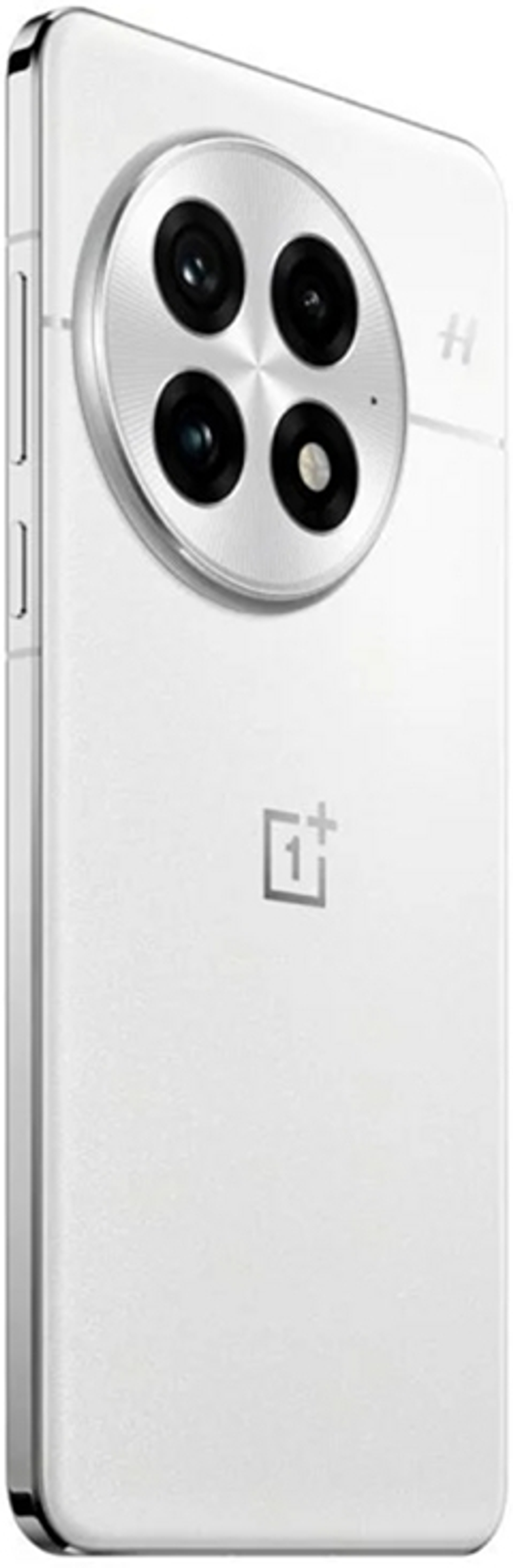 OnePlus 13 16/512Gb White CN