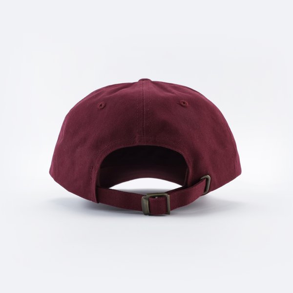 Кепка Passenger Logo (MAROON-WHITE) артикул: - купить в магазине Дайс