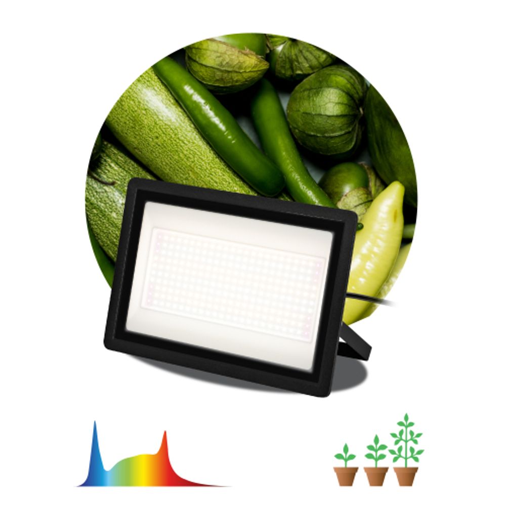 Фитопрожектор для растений светодиодный ЭРА FITO-200W-Ra90-LED полного спектра, профессиональный 200 Вт