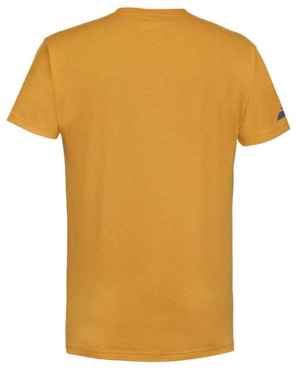 Мужская теннисная футболка Babolat Performance Big Flag Tee Men - осенняя слава