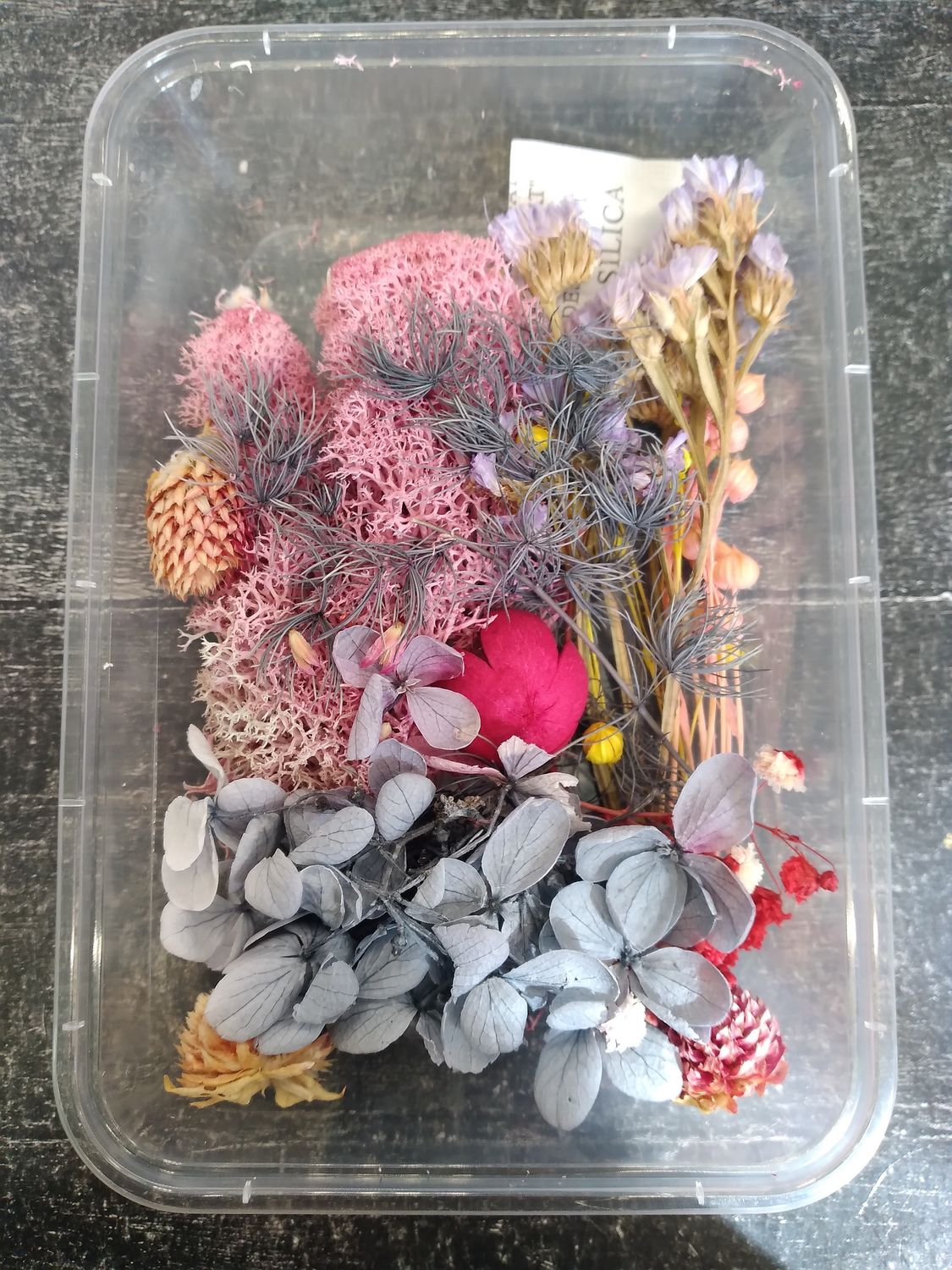 сухоцветы в коробке -002