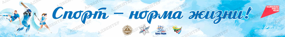 Баннер Спорт-норма жизни 2088