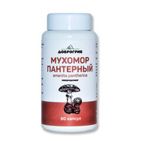 Микродозинг мухомора пантерного