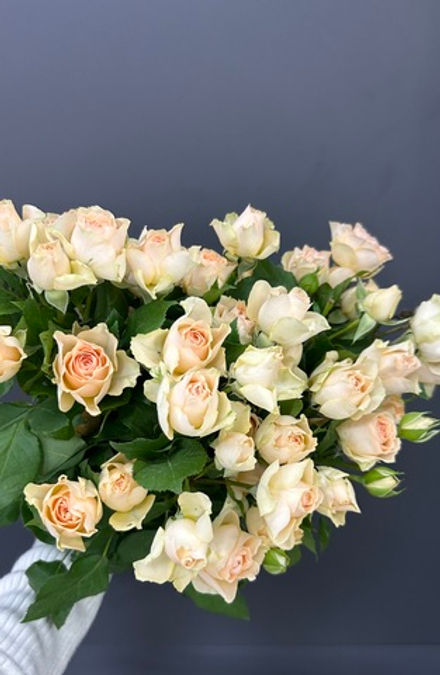 9 веточек кустовых роз