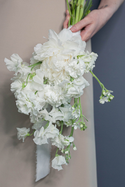 White dreams