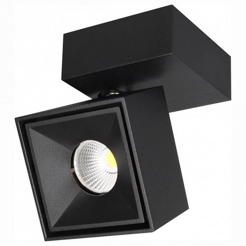 Спот Citilux CL558021N
