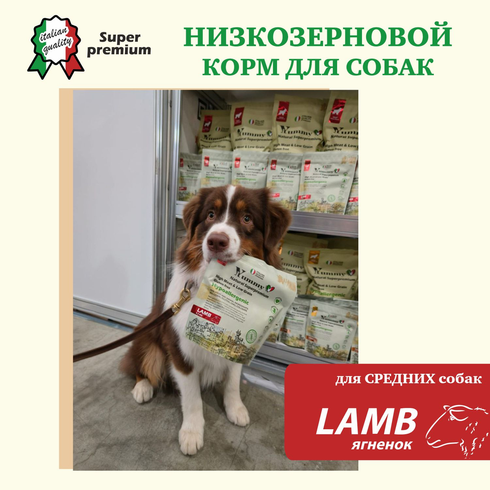 Yummy Linea корм для взрослых собак малых и миниатюрных пород, ягненок, 8 кг