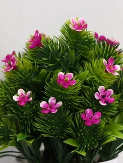 Бонсай в горшочке "Пушистый цветочный куст" 8*16 см, микс