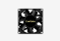 EX297085RUS_0126522103739