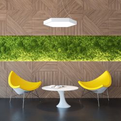 Светильник LED ЭРА Geometria SPO-121-W-40K-038 Hexagon 38Вт 4000К 4000Лм IP40 600*600*80 белый подвесной | Декоративные светильники Geometria