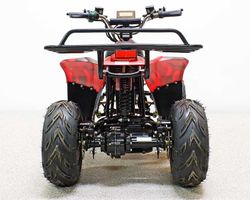 Квадроцикл GreenCamel Гоби K70 (36V 800W R7 Дифференциал) быстросъем