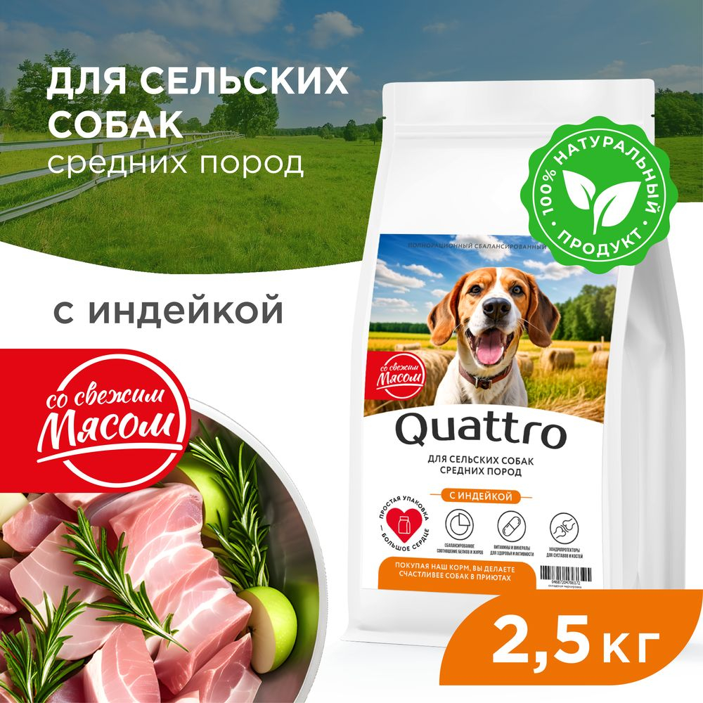 Корм сухой для взрослых собак средних пород, премиум полнорационный комплекс, для живущих в сельской местности, с индейкой, 2,5 кг, QUATTRO